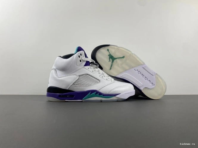 Rep Air 5 Grape Retro (2013) 136027-108 Jordan 0731